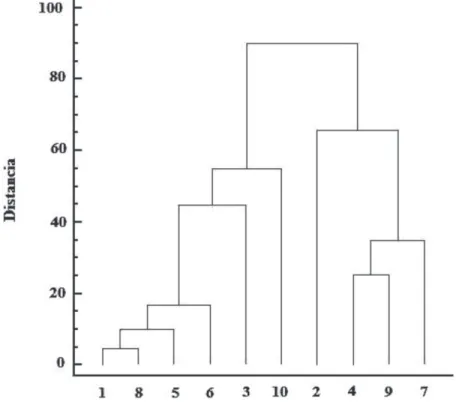 FIGURA 8: Dendrograma (1= Cruce Caballero; 2= Camaquã; 3= Santa Maria; 4= São João do Triunfo; 5=