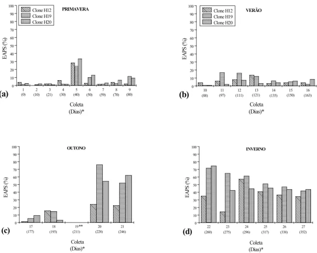 FIGURA 3:  Valores médios do enraizamento de miniestacas de Eucalyptus benthamii × Eucalyptus dunnii  durante avaliação em área de pleno sol (EAPS), ao longo de 352 dias de coletas sucessivas  de miniestacas