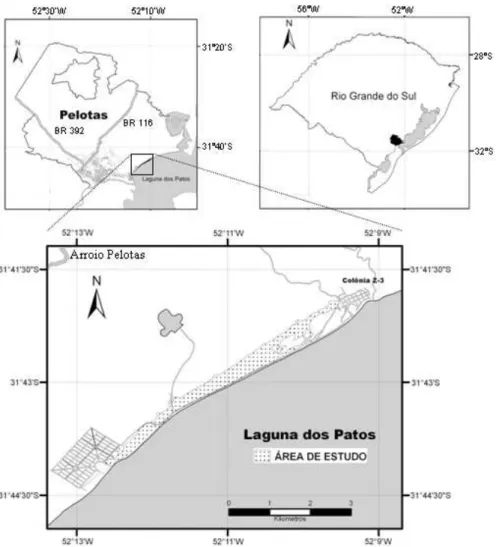 FIGURA 1:  Localização da Mata de Restinga da Praia do Totó, município de Pelotas no Rio Grande do  Sul, aproximadamente 31º43’S e 52º11’W, na Mata da Praia do Totó.