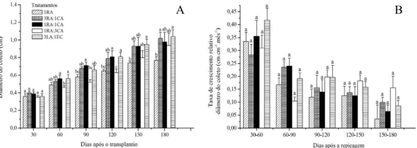 FIGURA 1:  Diâmetro de coleto (A) e taxa de crescimento relativo (TCR) do diâmetro do coleto (B) de  mudas de pupunheira cultivadas nos substratos dos tratamentos: 1RA; 3RA:1CA; 1RA:1CA; 