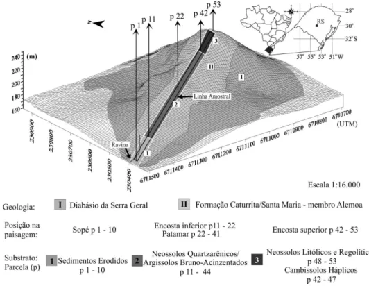 FIGURA 1:  Área de estudo com indicação do gradiente geomorfológico, altitudes e coordenadas  geográficas, e as classes de solos encontradas nas parcelas (p) no Morro do Cerrito, Santa  Maria, RS.