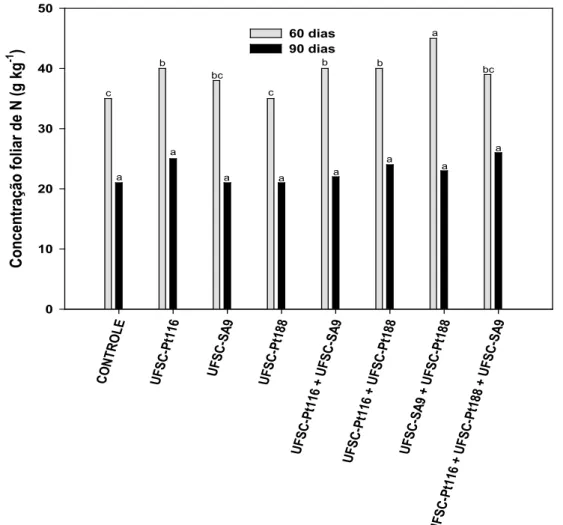 FIGURA 4:  Teores de nitrogênio (N) na parte aérea das mudas de Eucalyptus grandis produzidas no  substrato turfa, inoculadas e não inoculadas, com diferentes isolados de fungos ectomicorrízicos,  individualmente ou em mistura, aos 60 e 90 dias após o plan