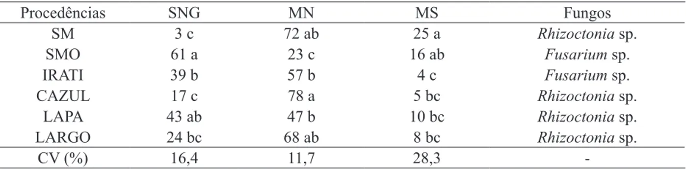 TABELA 5:  Porcentagem média de sementes não germinadas (SNG), mudas normais (MN), mudas  sintomáticas (MS) e fungos encontrados em mudas sintomáticas no teste de transmissão com  sementes de cedro de diferentes procedências.