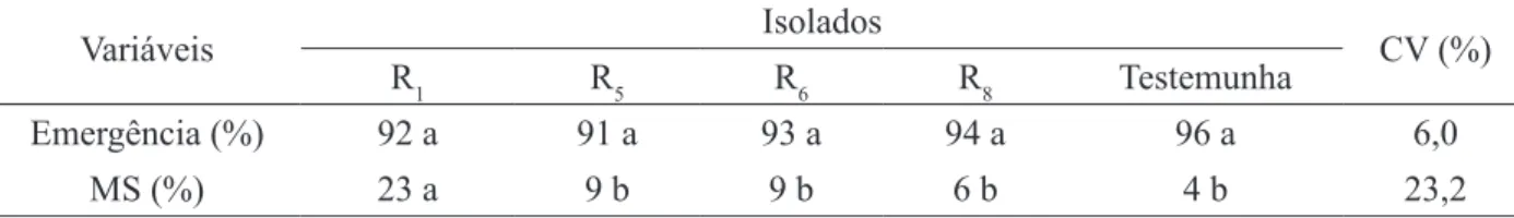 TABELA 7:  Testes de patogenicidade com inoculação de isolados de  Rhizoctonia  sp. em sementes de  cedro: porcentagem de emergência e de mudas sintomáticas (MS)