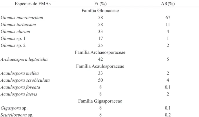 TABLE 5:     Frequency of occurrence (Fi) and relative abundance (AR) of spores by each AMF species found  in soil samples collected from degraded area by the clay mining, covered with spontaneous  vegetation (ADVE) or revegetated with  Acacia mangium and 