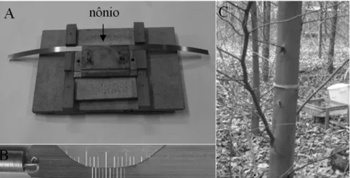 FIGURA 1:  Confecção e instalação da faixa dendrométrica no tronco da árvore: (A) gabarito para gravação  da escala