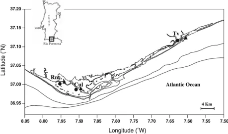 Fig. 1 Ria Formosa lagoon. Location of sampling sites: Ramalhete (Rm), Culatra (Cul) and Tavira (Tv): muddy stations ( • ); sandy stations ( m )