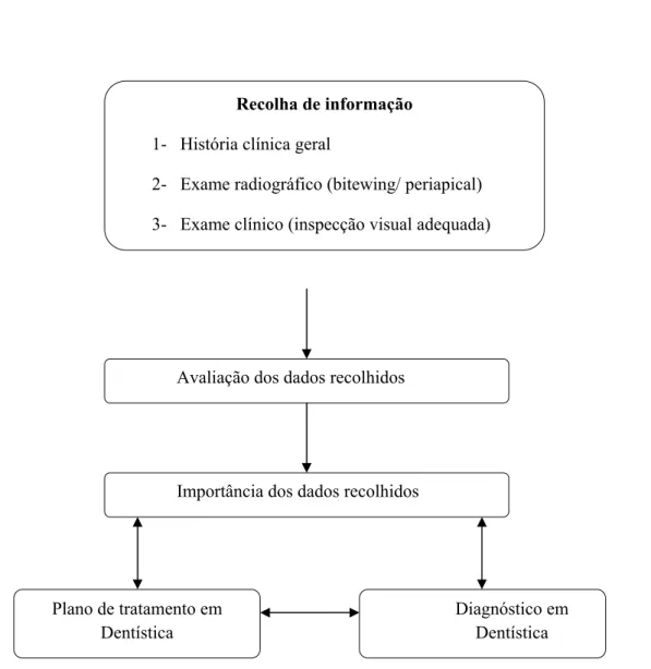 Figura 1- Representação esquemática das etapas fundamentais na elaboração do  diagnóstico e plano de tratamento (adaptado de  Stefanac e Nesbit, 2007, p.4) 