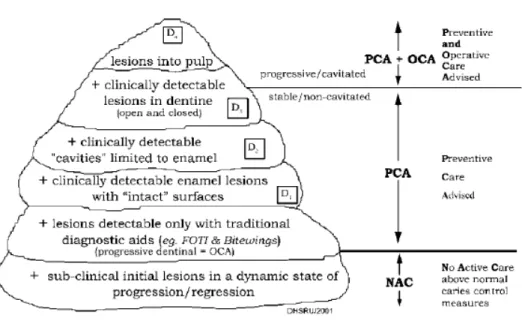 Figura 2- Diagrama representativo das várias etapas do desenvolvimento da cárie. 