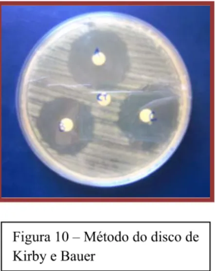 Figura 10 – Método do disco de  Kirby e Bauer 