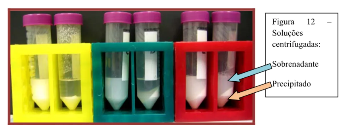 Figura 13 – Orientação triangular dos discos dos seis  dentífricos em estudo, com o disco controlo no centro das  placas 