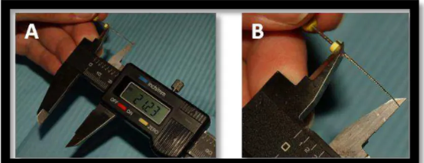 Fig. 12  –  (A) determinação da distância da ponta da lima ao bordo inferior do cursor de borracha, medida  correspondente ao CTE