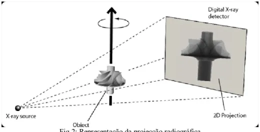 Fig 2: Representação da projecção radiográfica 