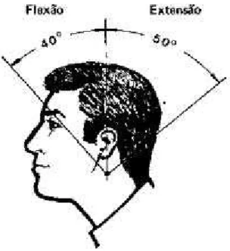 Fig 6: Movimentos de extensão e flexão 