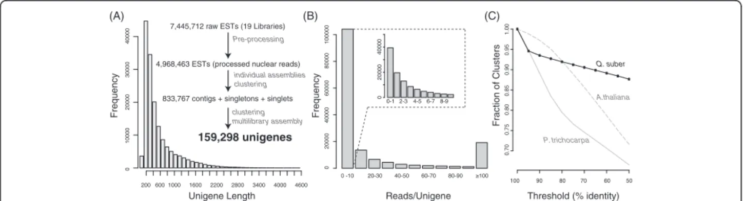 Figure 1 Schematic representation of the bioinformatics pipeline, indicating the software used at each step.