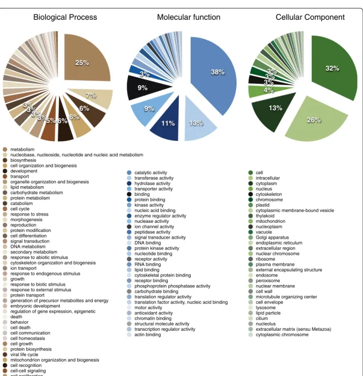 Table 3 Assembly metrics of this project compared with those of two large oak transcriptome sequencing projects Q