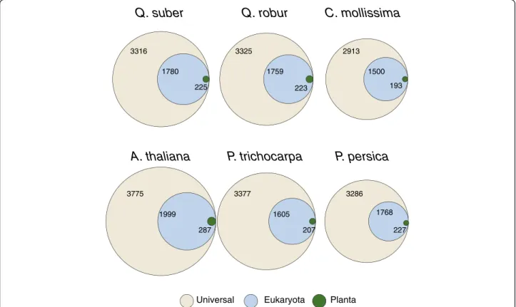 Figure 5 Unique Interpro domains assigned to the Q. suber unigenes and two other transcriptomes for Q