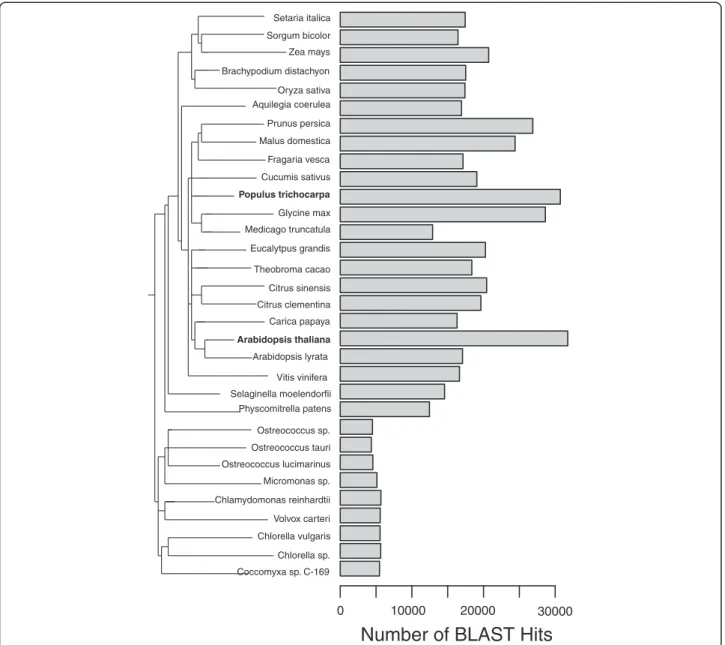 Figure 6 Number of the cork oak ’ s predicted peptides unique BLAST hits in other plant genomes.