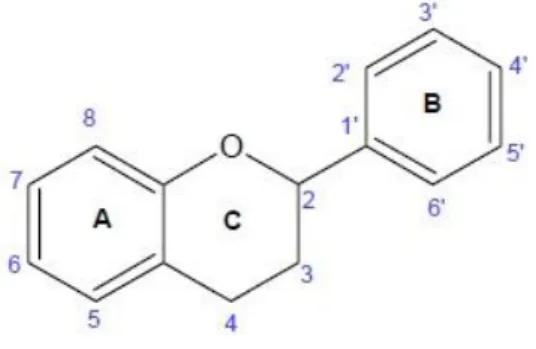 Figura 8. Estrutura geral dos flavonoides (flavilium) (http://www.infoescola.com/wp- (http://www.infoescola.com/wp-content/uploads/2010/10/flavonoide.jpg)