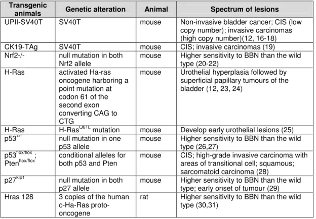 Table I - Genetically altered animals used in carcinogenesis studies. 