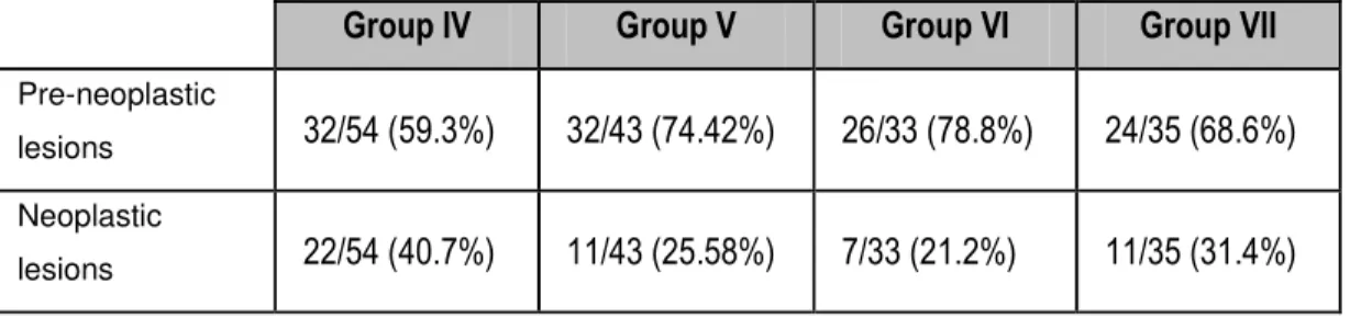 Table III - Incidence of pre-neoplastic and neoplastic lesions in groups IV to VII. 