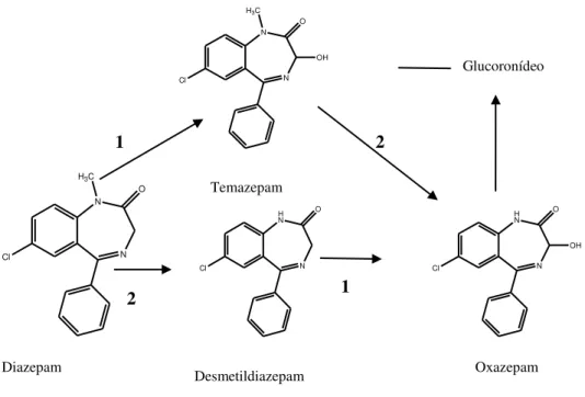 Figura 7 – Vias metabólicas do Diazepam 1- Hidroxilação; 2- Desmetilação (Abraham, 2003) 
