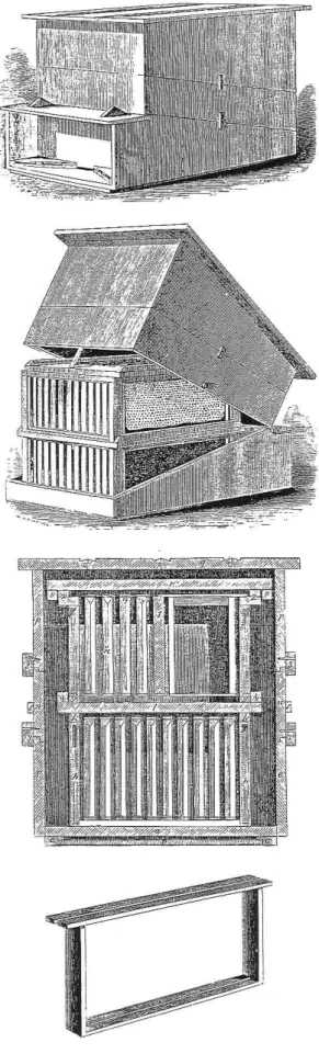 Fig. 2 - Esquema da colmeia Langstroth (LANGSTROTH 1857)