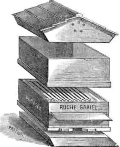 Fig.  3  -  Vários  tipos  de  colmeia. 1  -  Colmeia  vertical  Gariel  (SEQUEIRA  1895)  2  -  Colmeia  vertical  Sequeira  (SEQUEIRA 1895)  - Colmeia vertical Reversível (QUARTIM GRAÇA 19) 4 - Colmeia vertical Dadant-Blatt (SEQUEIRA  1895) 5 - Colmeia h