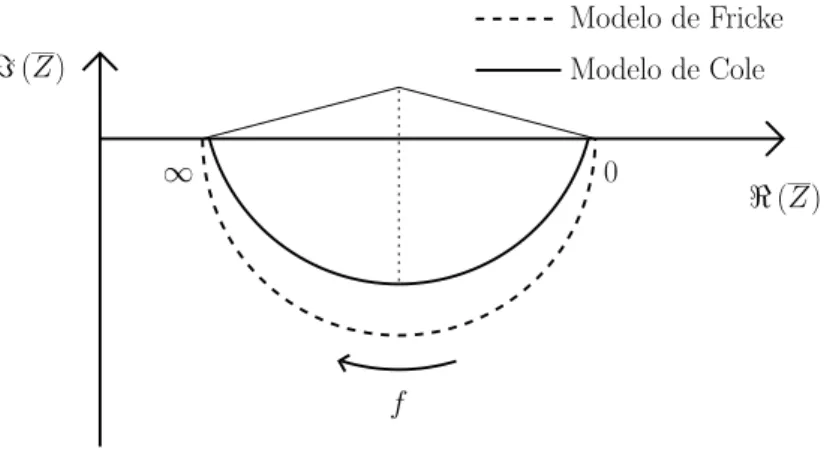 Figura 2.3 – Diagrama de Nyquist para o modelo de bioimpedˆ ancia de Fricke e de Cole.