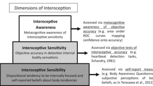 Figura 1. Dimensões da Interocetividade. Retirado de Garfinkel &amp; Critchley (2013)