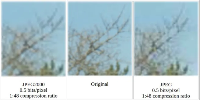 Figure 3.2: Example of the blocking artifacts [34].