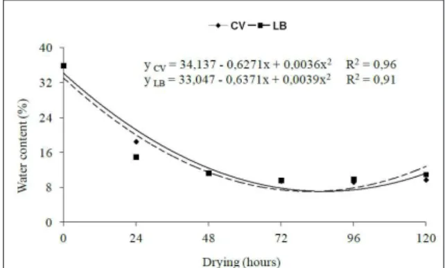 Figure 1 - Water content of Crataeva tapia L. seeds, dried in  greenhouse (CV) and lab environment (LB)