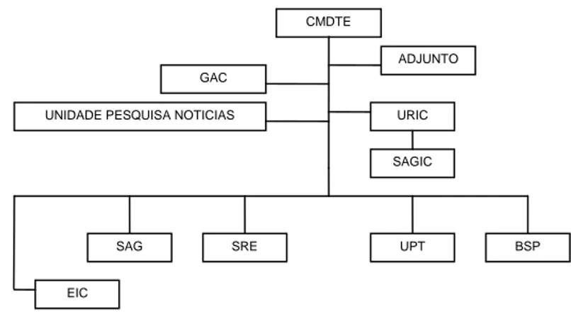 Figura n.º 2 – Estrutura de uma DIC/SIC 63