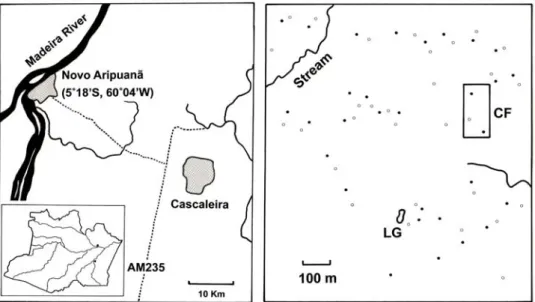 FIGURE 1: Study site (Cascalheira). Location of the micrometeorological measurements (CF: closed forest,  LG: large gap), quadrant for forest inventory, and mini-plots ( ● : CF,  ○ : GAP)