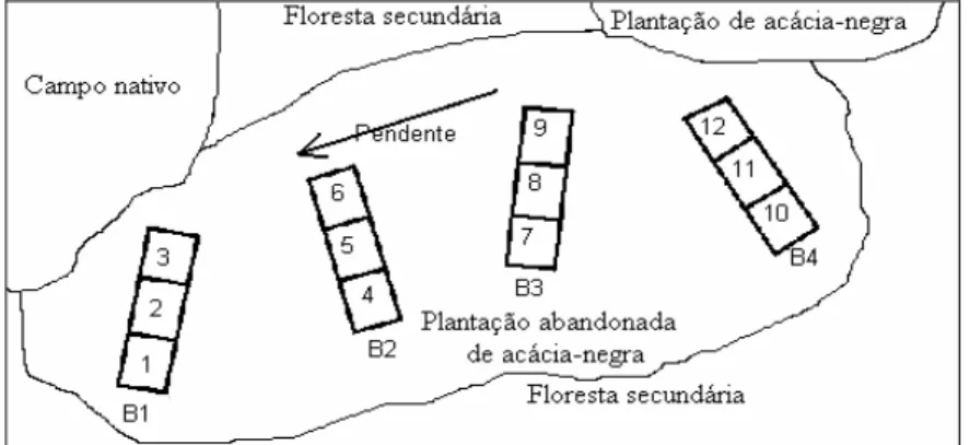 FIGURA 1: Localização dos blocos (B1, B2, B3 e B4) e parcelas (1 a 12) na plantação abandonada de  acácia-negra, em Cristal, RS