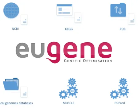 Figure 3.7 Eugene's use of external resources. On top, online databases, which also include online tools like BLAST