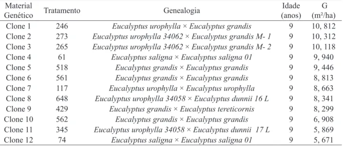 TABLE 1:     Clones of Eucalyptus spp. selected for the study. 