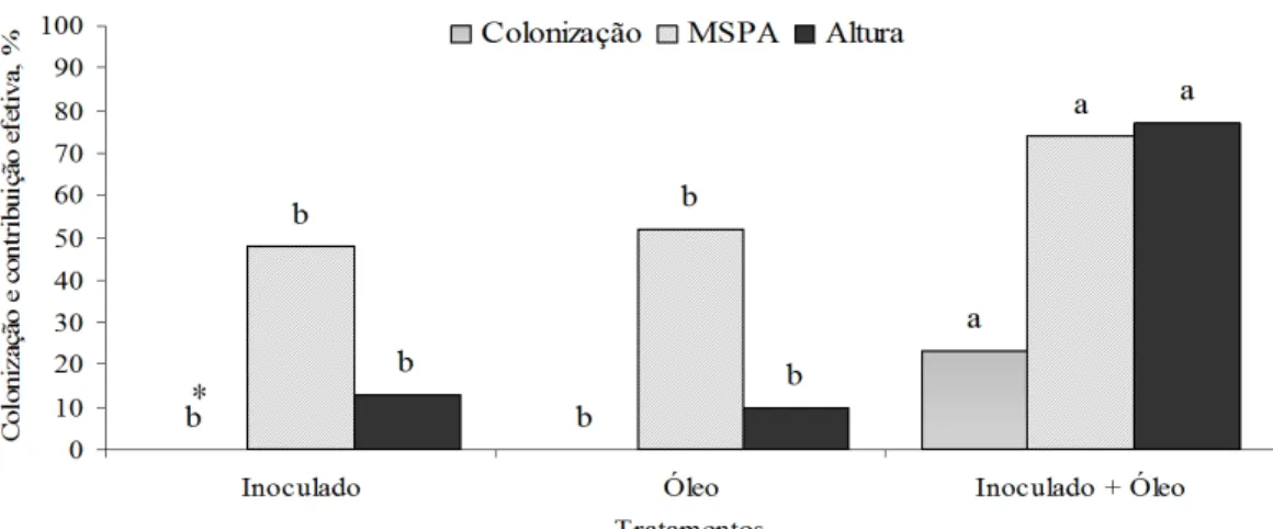 FIGURA 4:  Porcentagem de colonização radicular e contribuição efetiva dos tratamentos inoculado, óleo e  inoculado + óleo para a altura e massa seca da parte aérea (MSPA) das mudas de sibipiruna, em  relação ao tratamento controle