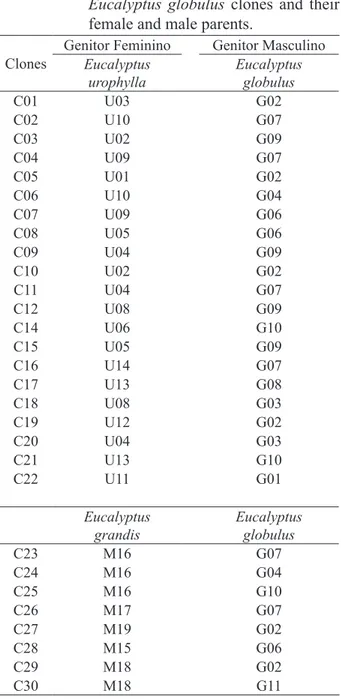 TABLE 1:     Eucalyptus urophylla x  Eucalyptus  globulus and Eucalyptus grandis x  Eucalyptus globulus clones and their  female and male parents