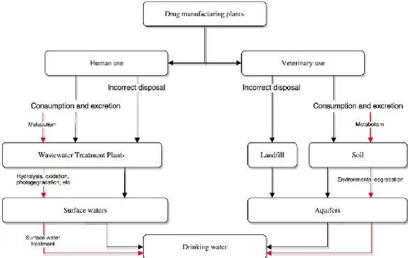 Fig. 1. Main routes of pharmaceutical contamination of the environment. Pharmaceutical transformation  products origin and propagation routes are schematically represented in red