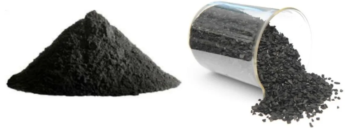 Fig. 4. Main forms of activated carbons distribution: powdered (left) and granular (right) 
