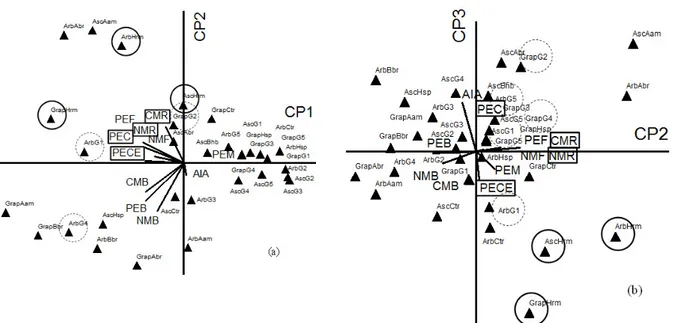 FIGURA  2:  Resultado  da  análise  de  componentes  principais  (CP)  para  os  atributos  relacionados  à  sobrevivência e desenvolvimento das estacas diante dos diferentes tratamentos (▲), sendo CP1  x CP2 (a) e CP2 x CP3 (b)