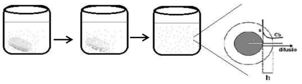 Figura 1 - Desintegração da forma farmacêutica e difusão das moléculas do fármaco no meio solvente