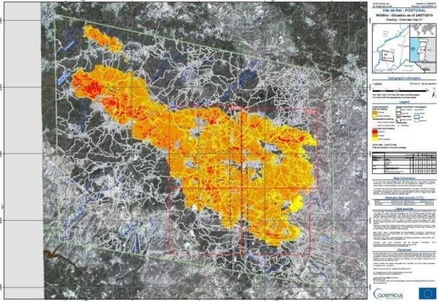 Figura 10 – Imagem Satelital de Incêndio em Vila de Rei 