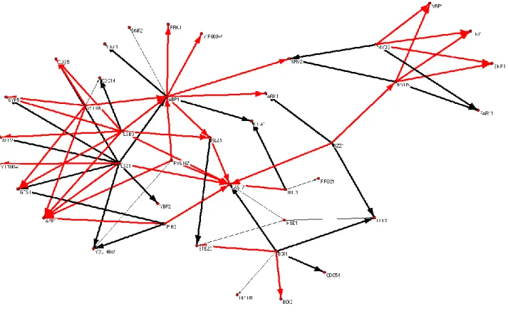 Figure  5  -  Predictions  of  S.  cerevisiae  SH3’s  interactions.  We  considered  that  a  potential target consensus, found by pattern matching, in an S