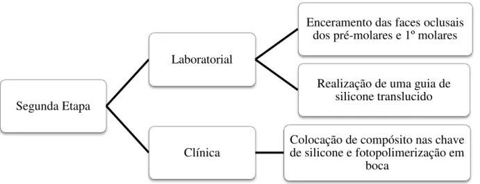 Figura 6 - Esquema que traduz a segunda etapa do tratamento.