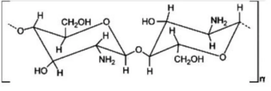Figura 7. Estrutura química do quitosano [adaptado de George and Abraham, 2006].  