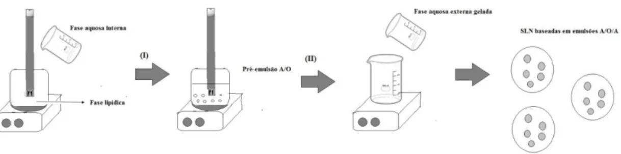 Figura 9. Ilustração esquemática do método da emulsão múltipla. 