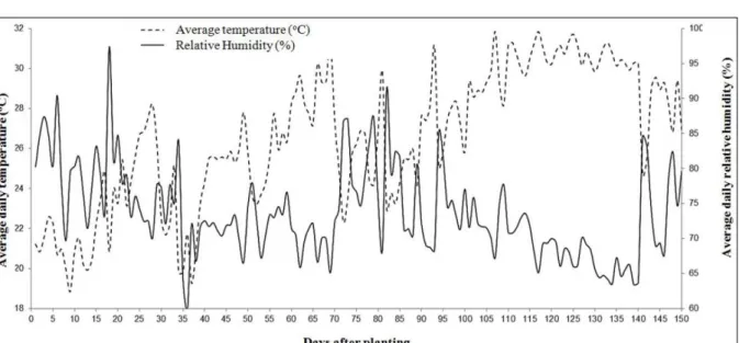 Figure 1 - Average daily temperature (°C) and average daily relative humidity (%) recorded at the greenhouse during the experimental period  (August 2012 to January 2013), using a KILOG data logger (KIMO Constructeur) that was programmed to collect reading