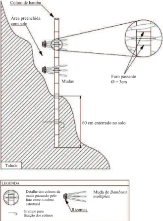 FIGURA 3:  Ilustração da cerca de bambu encostada  no talude e enterrada no solo.